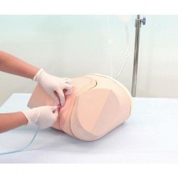 Erler-Zimmer Female Catheterisation and Enema Simulator